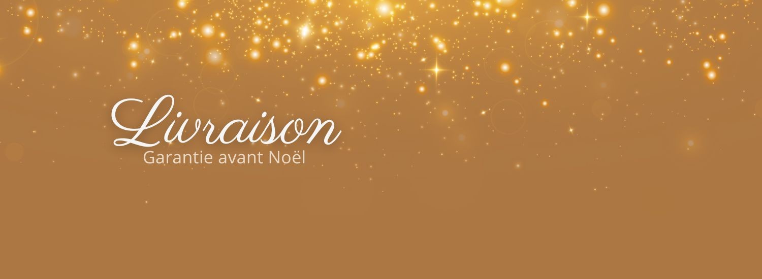 Livraison garantie avant noël !